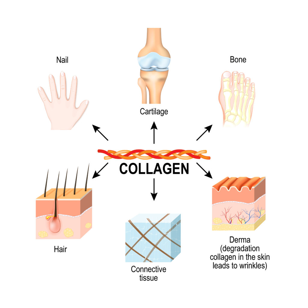Collagen benefits ExtraCell
