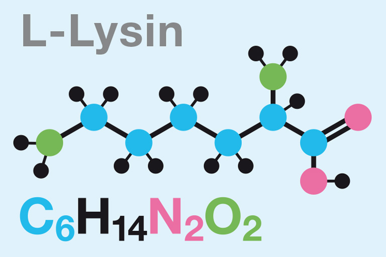 Lysin essential amino acid